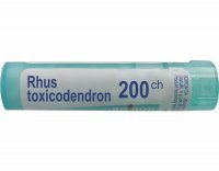 BOIRON Rhus Toxicodendron 200 CH granulki