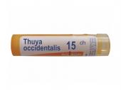 BOIRON Thuya occidentalis 15 CH granulki 4 g