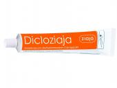 ZIAJA Dicloziaja 11,6 mg/g żel 100 g