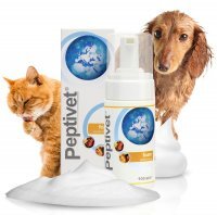 Peptivet Foam Preparat dermatologiczny w postaci pianki dla kotów i psów 100 ml